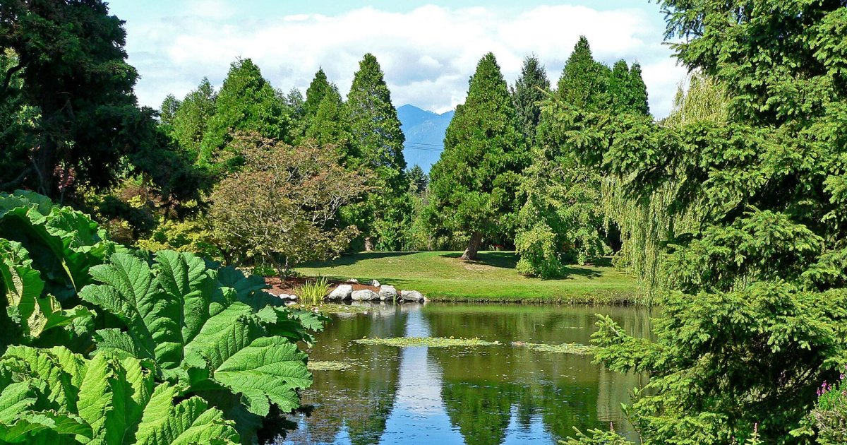 VanDusen Botanical Garden: A green city-centre oasis